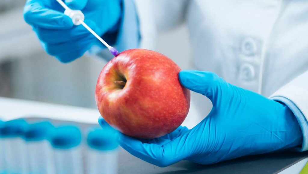 laboratory image 4