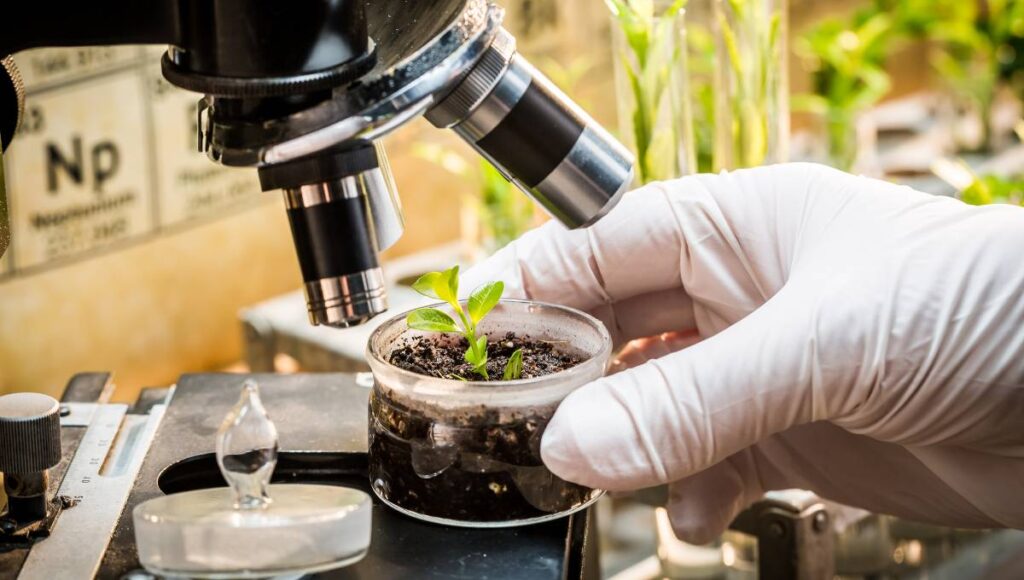 laboratory image 8